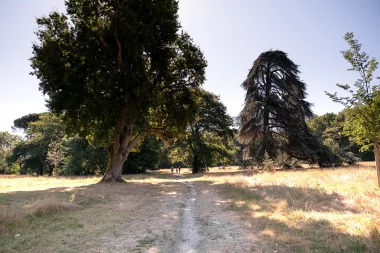 Parc de Mandavit de Gradignan (2).